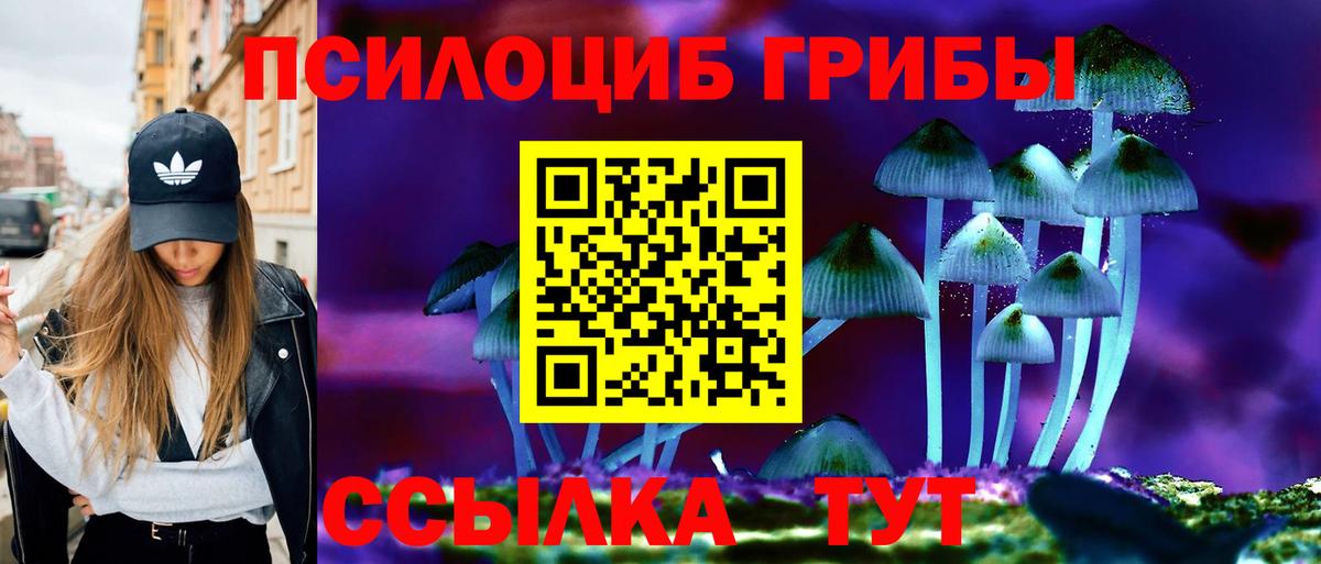 Галлюциногенные грибы прущие грибы Оренбург